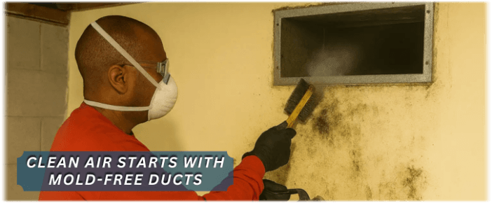 Air Duct Mold Removal in Lombard IL