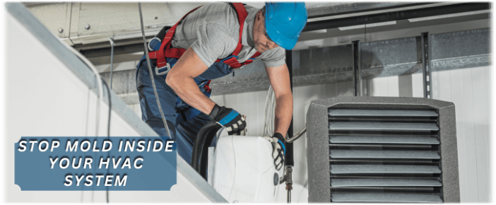 HVAC Mold Removal Lombard IL